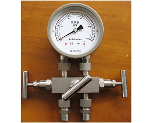山东差压表带三阀组